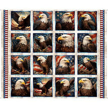 1776-36" Eagle Picture Patches Panel Birch 2600-31660-E