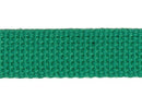 1" Cotton Webbing Lt Teal WC/100-313