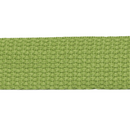 1in Cotton Webbing Basil 25MM-C-7
