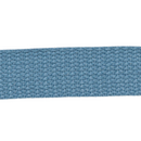 1in Cotton Webbing Cadet Blue 25MM-C-30