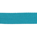 1in Cotton Webbing Teal 25MM-C-49
