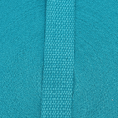 1in Cotton Webbing Teal 25MM-C-49