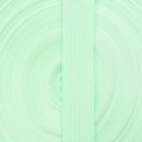 1in Poly/Nylon Webbing Peridot 25MM-P-43