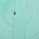 1in Poly/Nylon Webbing Mint 25MM-P-32