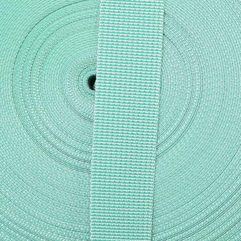 1in Poly/Nylon Webbing Mint 25MM-P-32