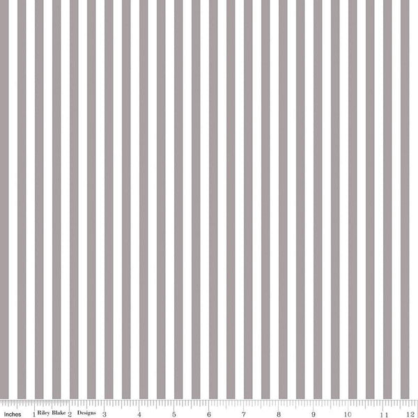 Stripe 1/4"-Gray C555-GRAY