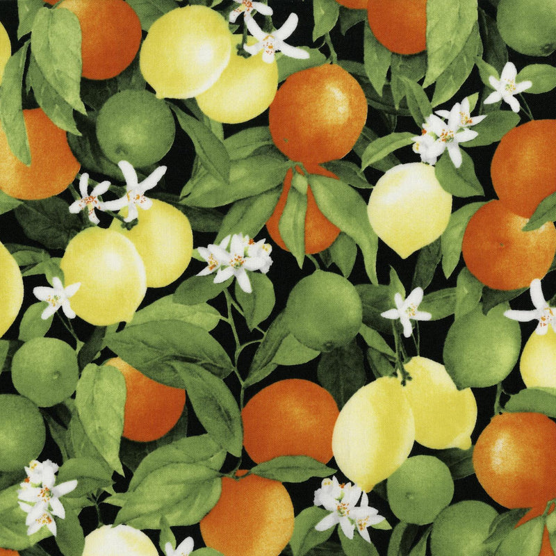 Ambrosia Farm-Citrus Grove Midnight 3556-001