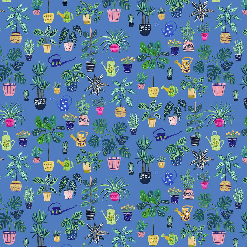 Beauty & Solitude-Nuture Celestial AI102-CE2D