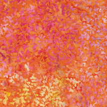 Blenders-Leaf Vine Nasturtium BE18-C1