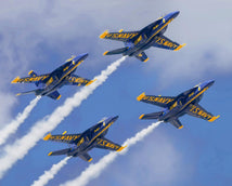 Blue Angels Panel 1-36" Multi DX-4911-3C-1