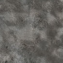 Bodacious Blacks-Fossil FOSSIL