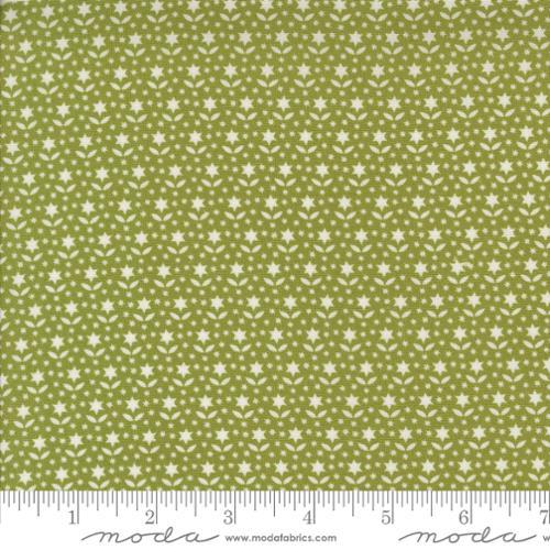 Buon Natale-Pine 35405-16