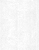 Canvas Texture White on White 39851-100