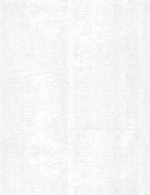 Canvas Texture White on White 39851-100
