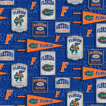 College Cotton-Florida Vintage Pennant FL-1267