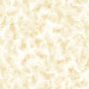 Color Dance-Blender 1649-29008-EZ