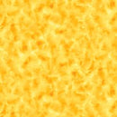 Color Dance 1649-29008-SO