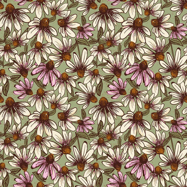 Coneflower Corral-Echinacea Olive Y4558-24