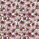 Coneflower Corral-Echinacea White Y4558-1