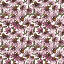 Coneflower Corral-Echinacea White Y4558-1