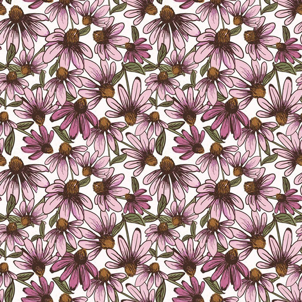 Coneflower Corral-Echinacea White Y4558-1