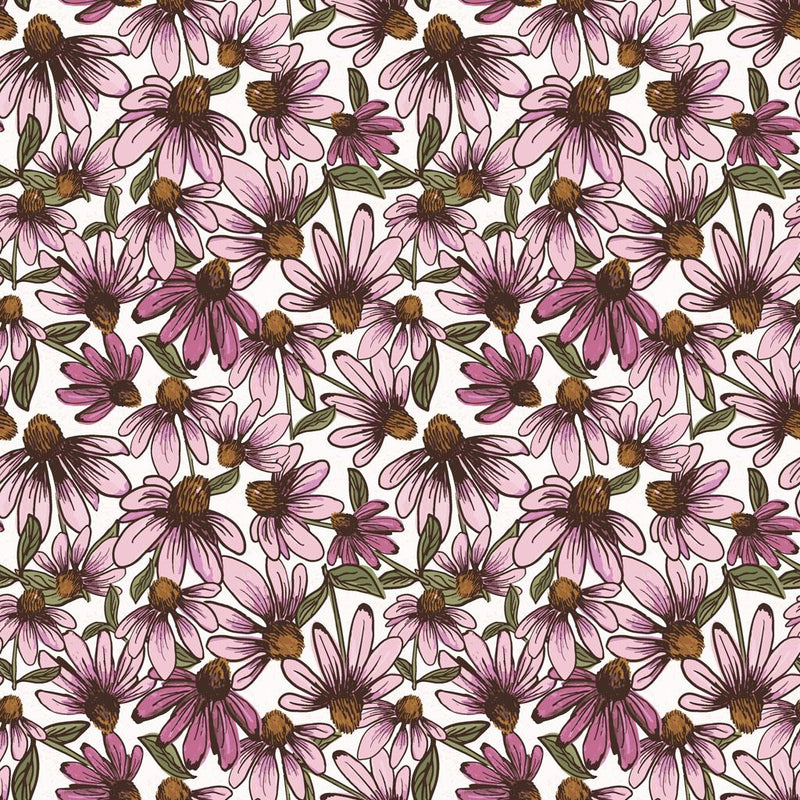 Coneflower Corral-Echinacea White Y4558-1