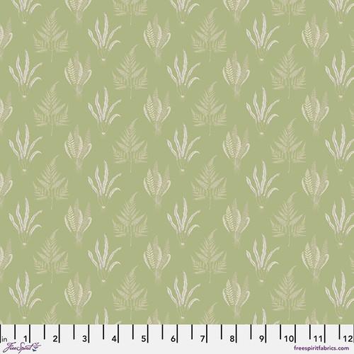 Country Romance-Woodland Ferns Sage PWSA079.SAGE