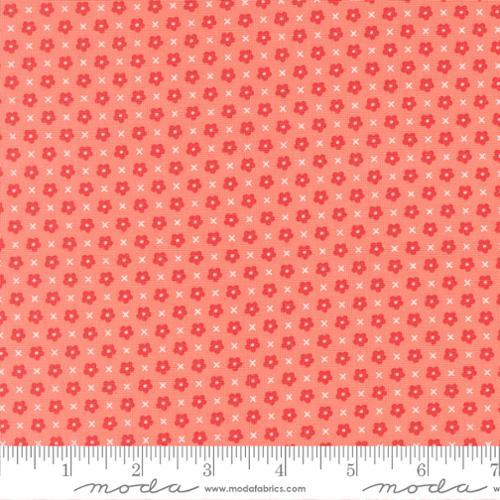 Delightfully Yours-Carnation 37703-15