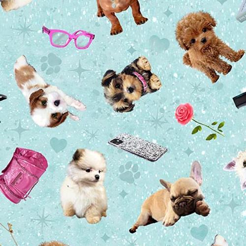 Diva Pups - Aqua 1738-11