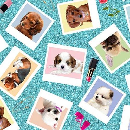 Diva Pups - Aqua 1745-11