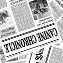 Diva Pups - White 1746-01