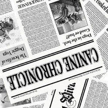 Diva Pups - White 1746-01