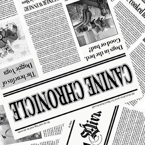 Diva Pups - White 1746-01