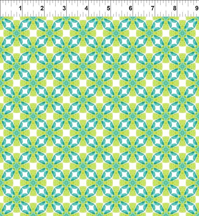 Dragon Friends-Geo 3 Lime 8DF-1