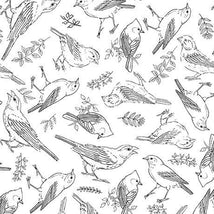 Drawn To Birds-Bird Toile White 2600-31137-Z