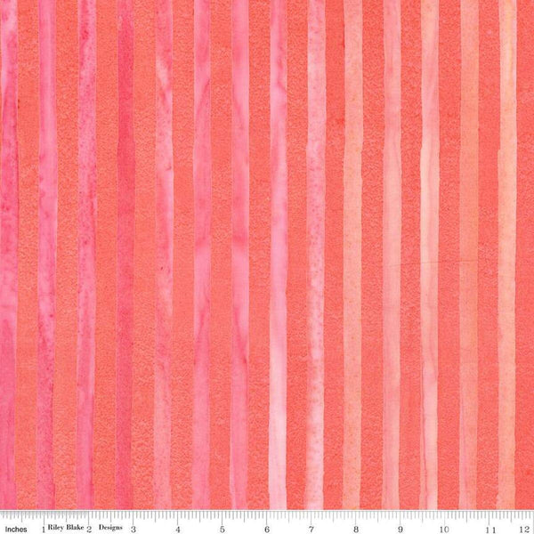 Elementals-Get In Line SalmonRun BT21300-242