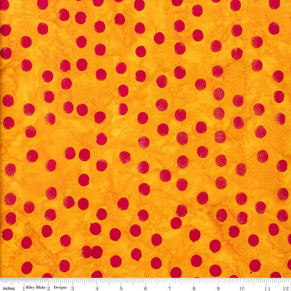 Elementals-Polka Pop Butterscotch BT21400-256