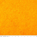 Elementals-Rainbow Brights Sunshine BT21700-255