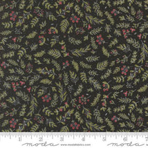 Emmitt & Ivy-Black 55695-17