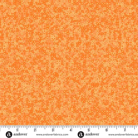 Fairy Rings - Pumpkin A-1505-O2