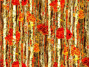 Fall Classic Birch Trees OA-597321 Orange