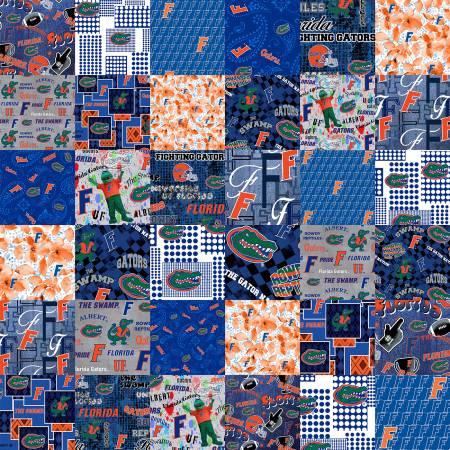 Florida Collegiate Cheater Quilt FL-1363