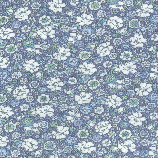 Flownny Lawn NFA-1000-4A