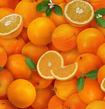 Food Festival 261 Orange