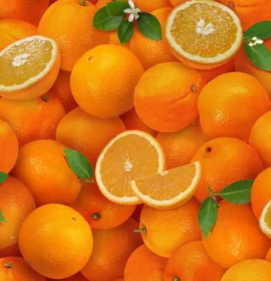 Food Festival 261 Orange