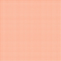Gingham Check-Light Coral SB20268-420