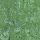 Glorious Greens-Evergreen EVERGREEN