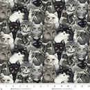 Catsup-Black/Gray 1926-91