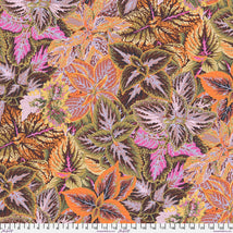 KF Collective August 2025-Bold Leaves Brown PWPJ132.BROWN