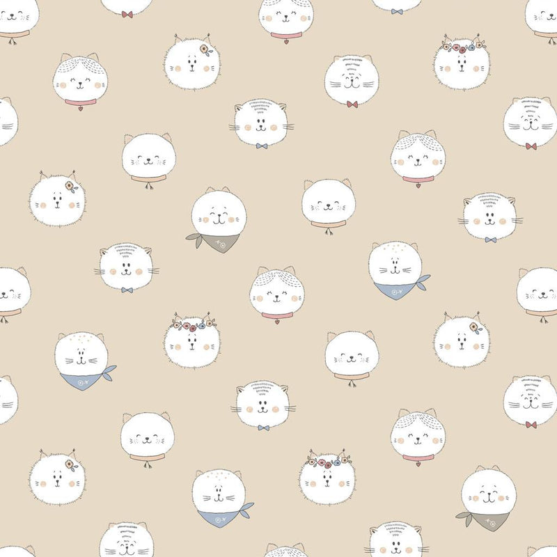 Kitten Fun-Faces Light Khaki Y4568-11